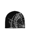 Spiderweb Skully Beanie